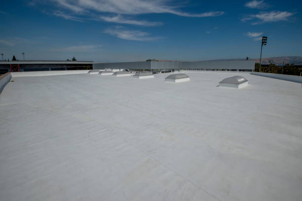 Best Roof Coating and Sealing  in Graysville, TN