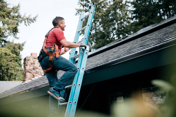 Best Gutter Installation and Repair  in Graysville, TN