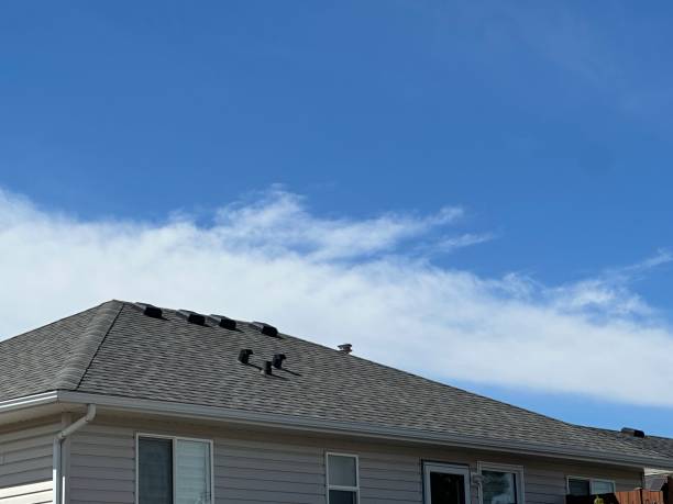 Best Cold Roofs  in Graysville, TN